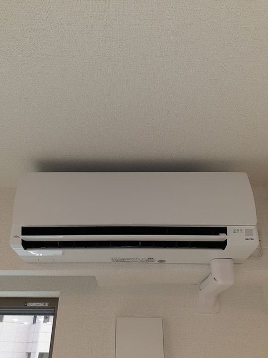 サリーレプーロのその他画像