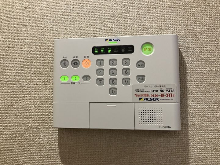 サウザンドサニー WESTのその他画像