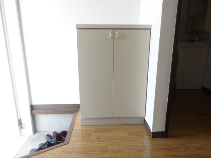 ヴェラ・サンモール103の玄関