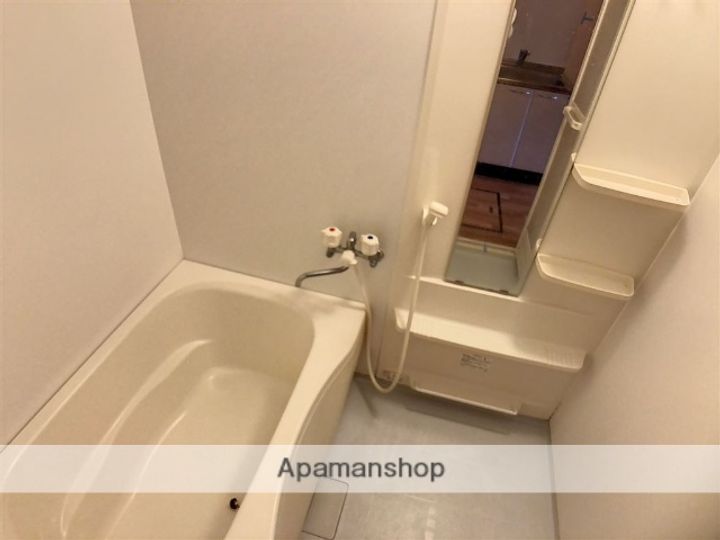 神奈川県相模原市南区相模大野5丁目の賃貸アパートの内装