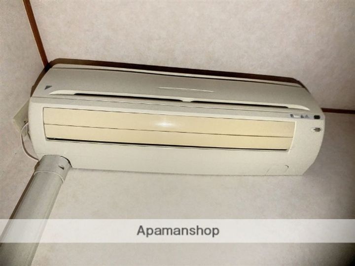 神奈川県相模原市南区相模大野5丁目の賃貸アパートの内装