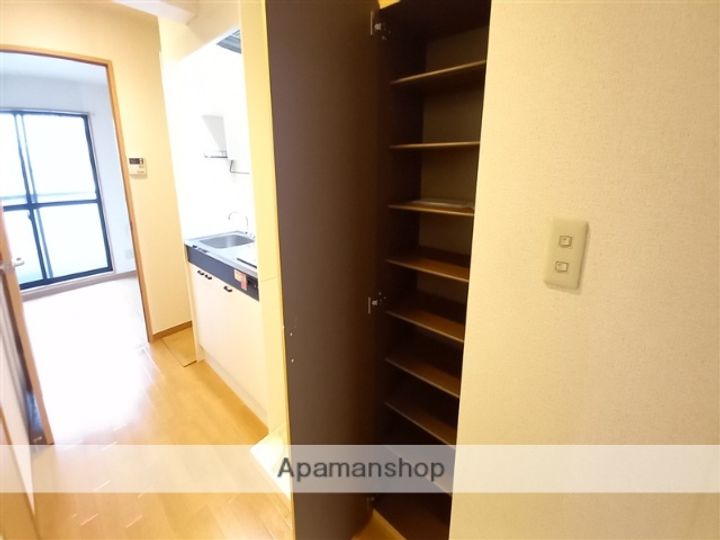 神奈川県相模原市南区相模大野3丁目の賃貸マンションの内装