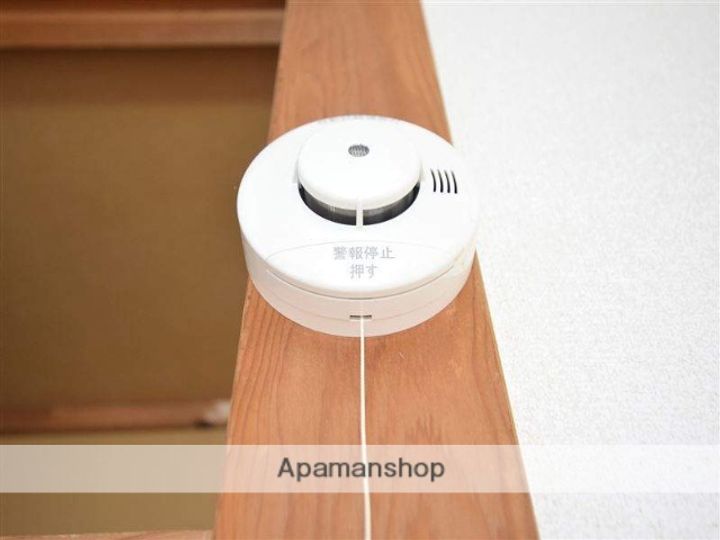 神奈川県相模原市南区若松5丁目の賃貸アパートの内装