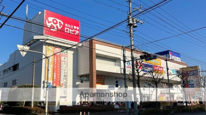 DSTYLE中町203の周辺