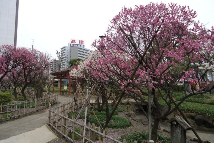東京都大田区蒲田3丁目の賃貸マンションの周辺