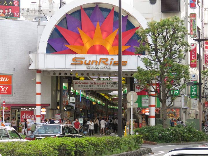 レオネクストサンドリームの周辺