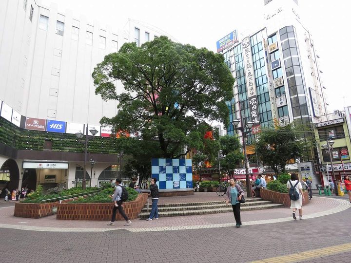 レオネクストサンドリームの周辺