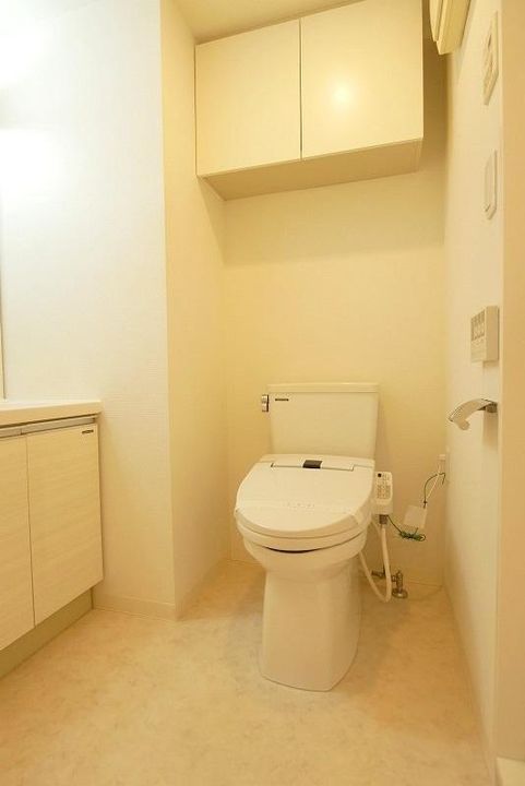 ラフィスタ川崎のその他画像