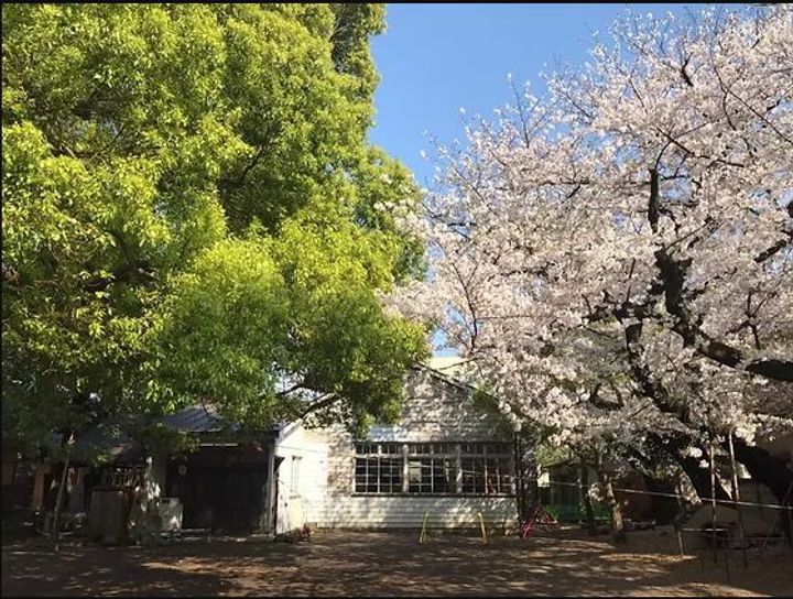 ウェルスクエア武蔵小山Ⅱの周辺