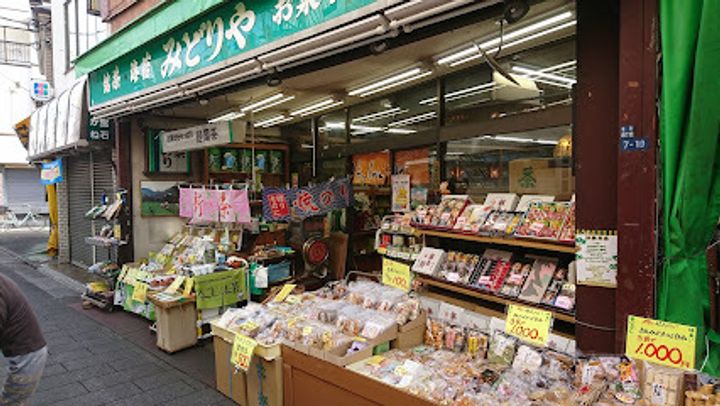 コンフォリア・リヴ西大島SOUTHの周辺