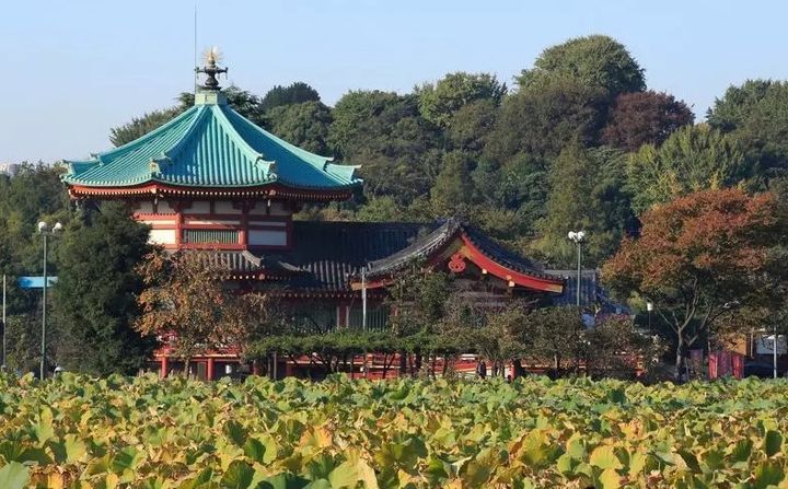 エルエースイート上野の周辺