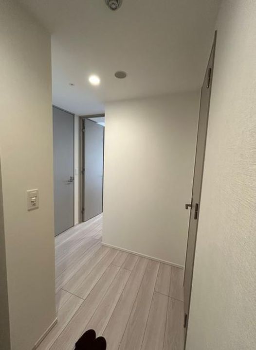 ブランシエスタ上野の玄関