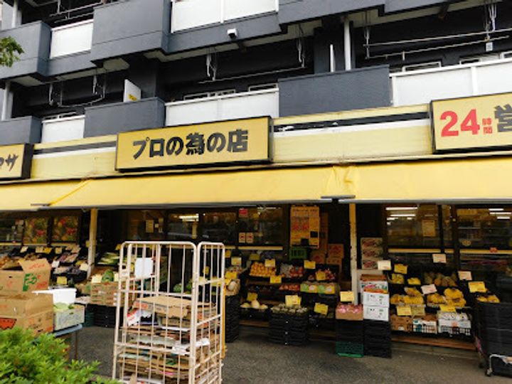 オーキッドレジデンス住吉の周辺