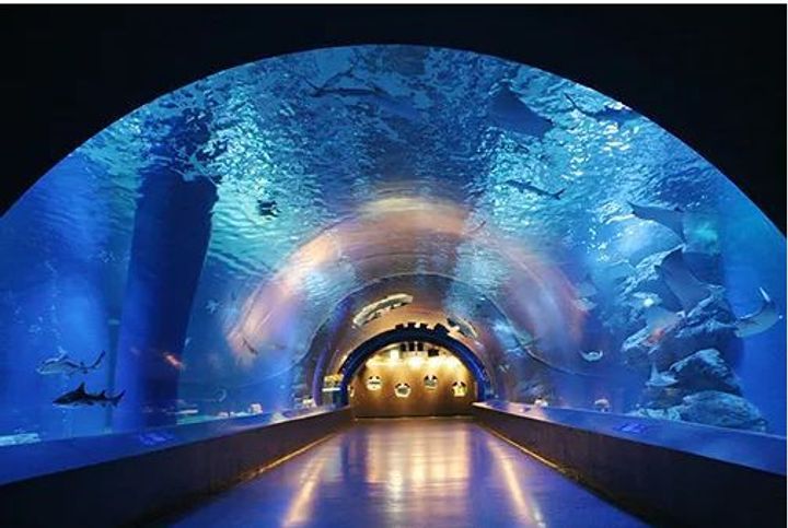 コンフォリア芝浦の周辺