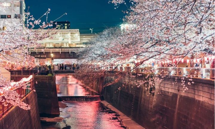 ガリシア目黒大岡山の周辺