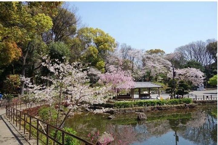 ハーモニーレジデンス品川大井町の周辺