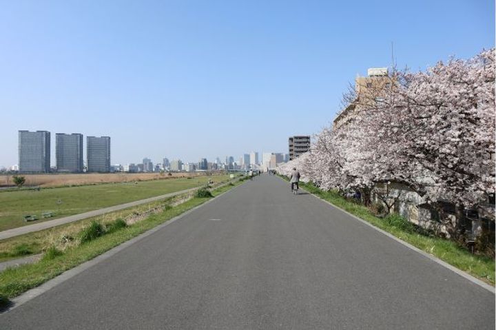 東京都大田区西六郷2丁目の賃貸マンションの周辺