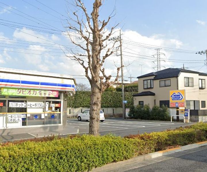 リリックコートハイビスカスの周辺