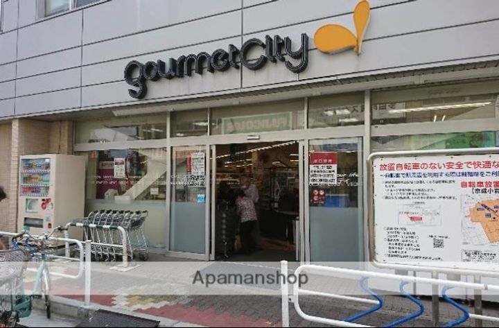 プロテージ小岩の周辺