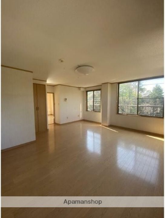 メゾンエイワン103の居間