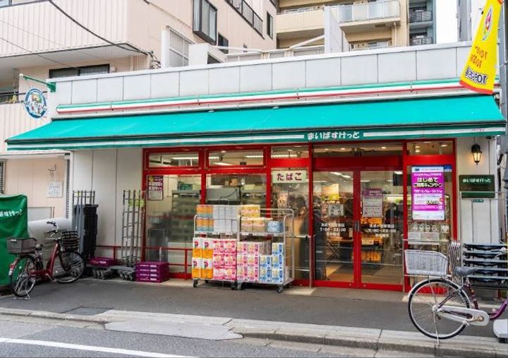カインドネス京成小岩301号室の周辺