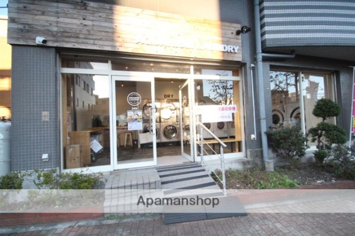 ナシオン平井301の周辺