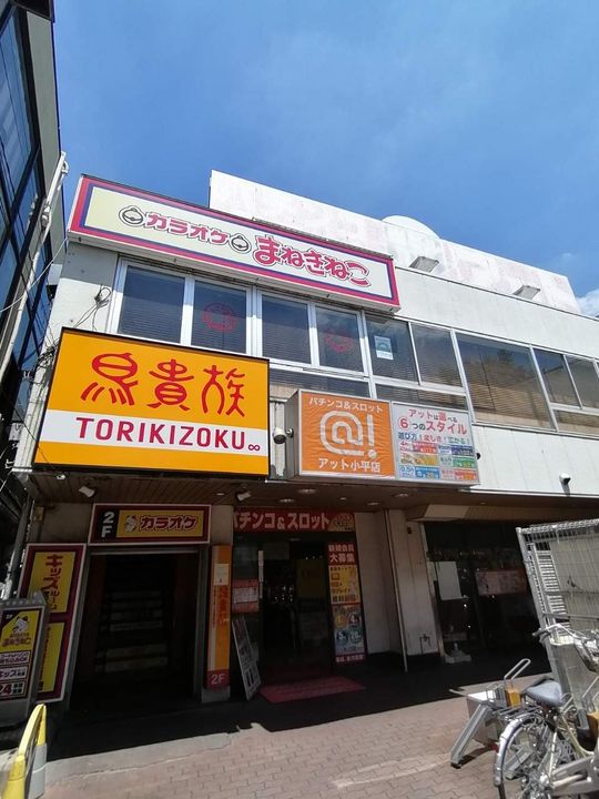 レオネクストファミリア白山の周辺