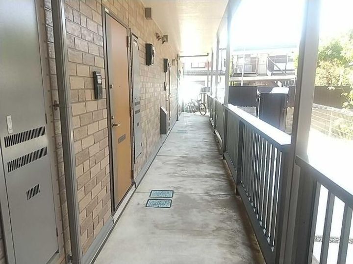 セレサY・Fのその他画像