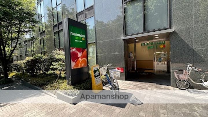 レヴィールシティ西新宿の周辺