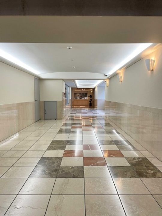 インペリアル南麻布サテライト401号室の内装