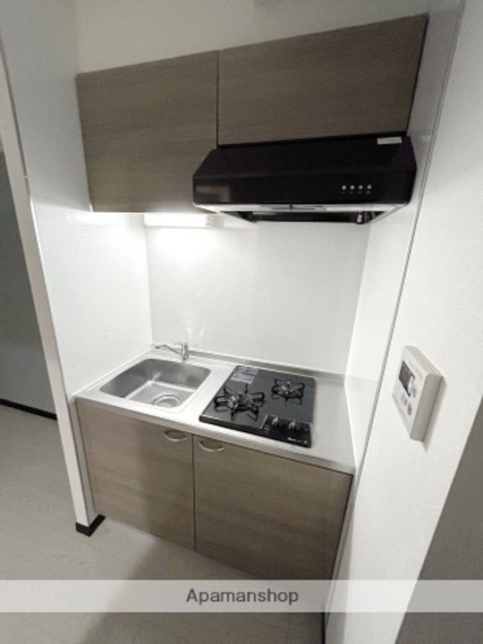 レピュア住吉レジデンスのキッチン