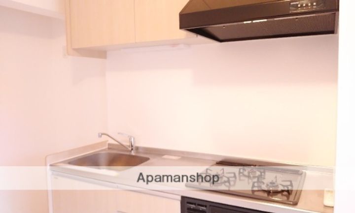 東京都小金井市中町2丁目の賃貸マンションのキッチン