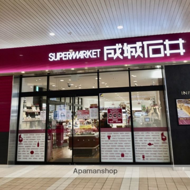 東京都小金井市梶野町4丁目の賃貸マンションの周辺