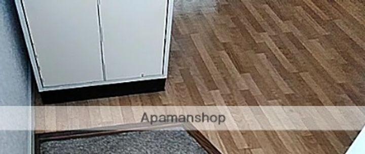 東京都小金井市中町2丁目の賃貸アパートの玄関