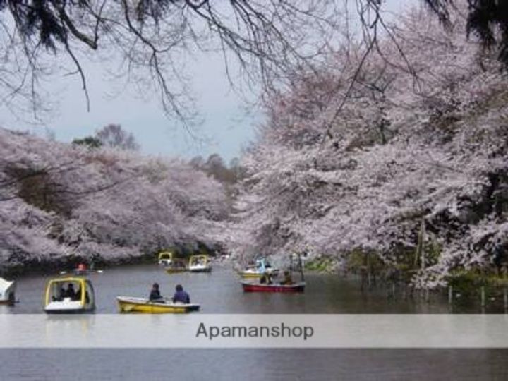 東京都三鷹市下連雀3丁目の賃貸アパートの周辺