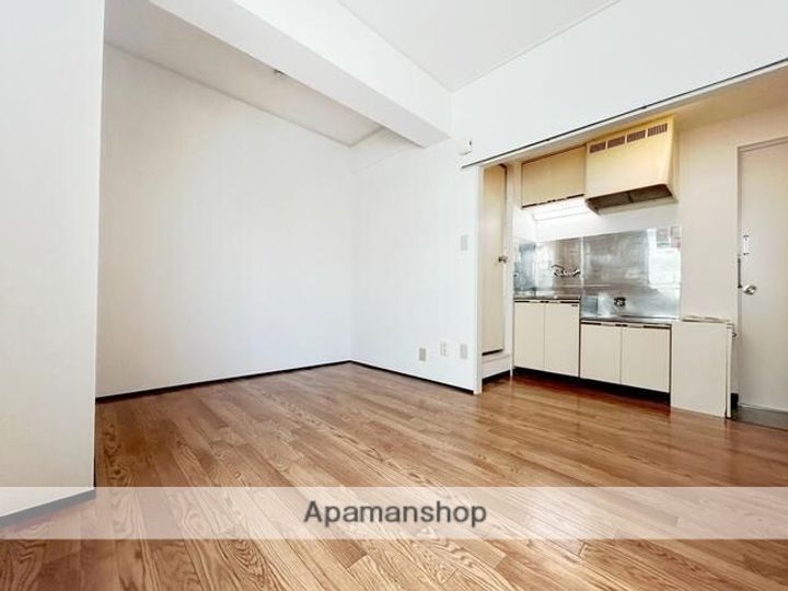 東京都杉並区和泉3丁目の賃貸マンションの内装