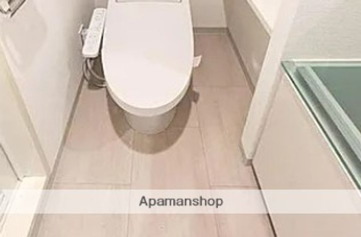 アジールコート西新宿303のその他画像