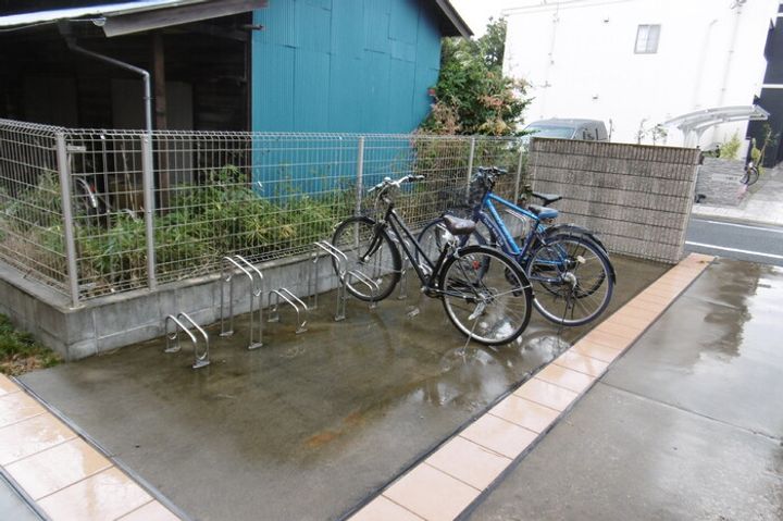 カメリア並木の外観