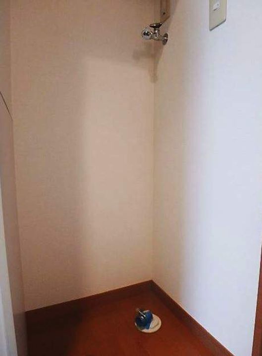 グレースミニヨンのその他画像