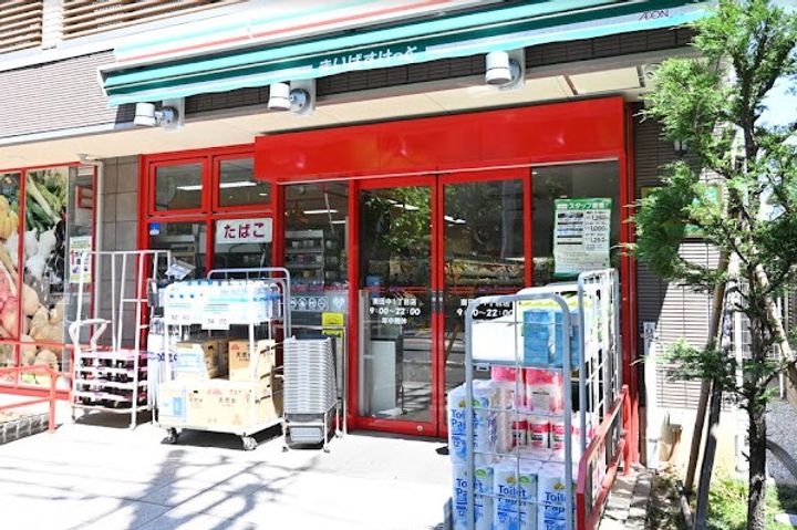 ラフィスタ練馬の周辺