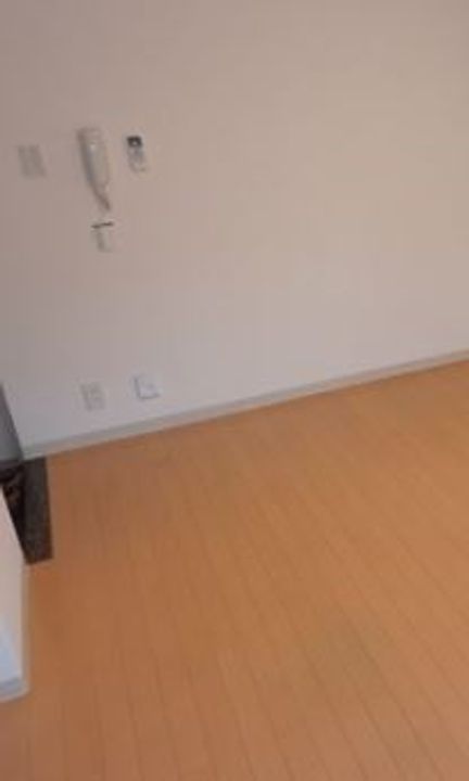 ミニヨンリドー203号室の居間