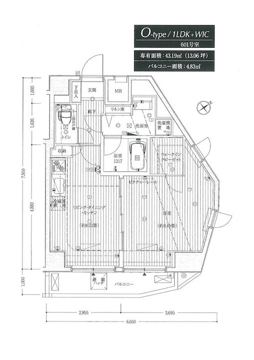 ライズ中野松が丘601号室の間取り