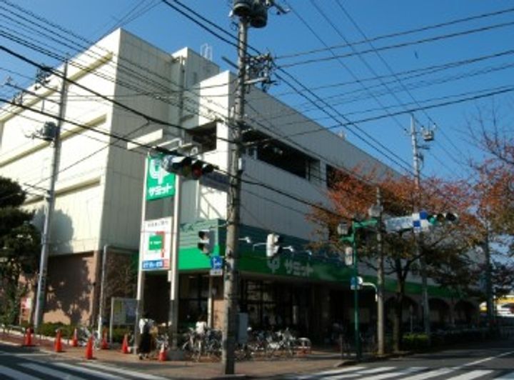 カメリア並木の周辺