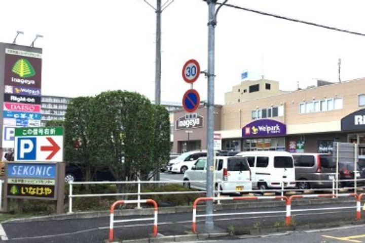 カメリア並木の周辺