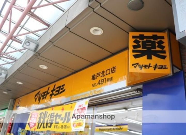 グランシアタワー亀戸911の周辺