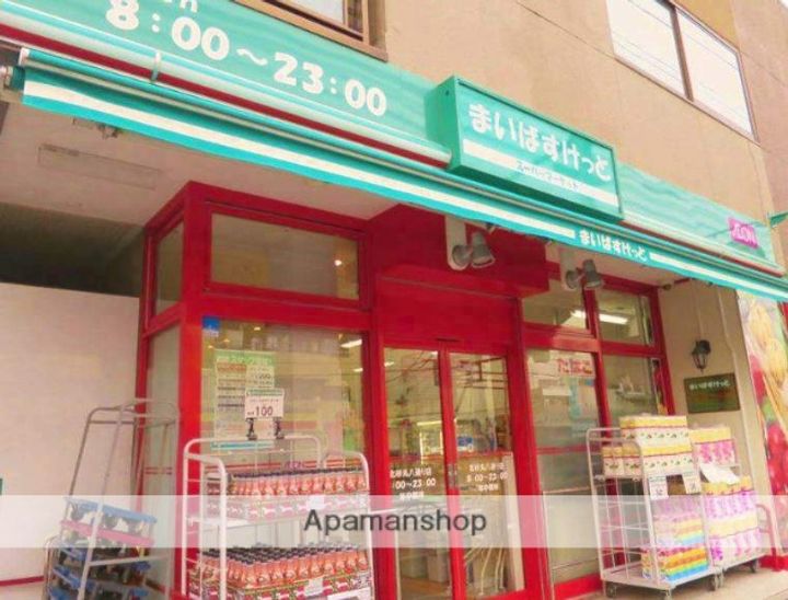 ハイサルーンワン302の周辺