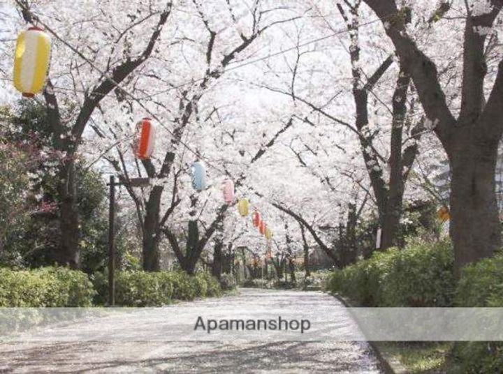 ハイサルーンワン302の周辺