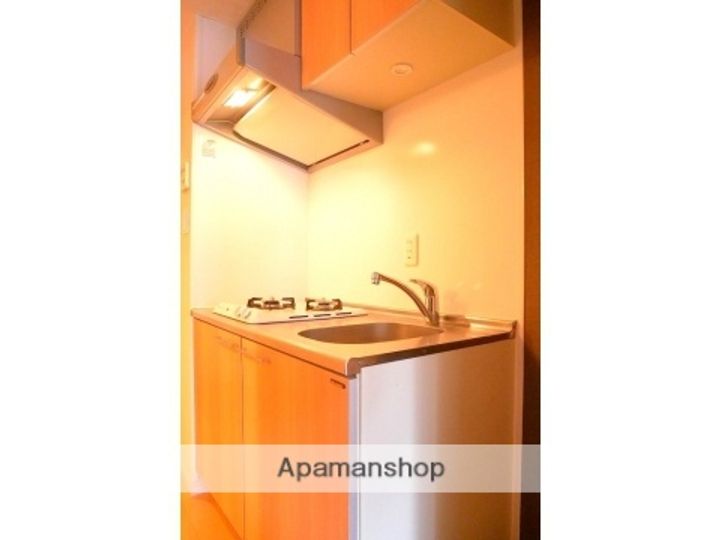 ニューシティアパートメンツ新川Ⅱのキッチン