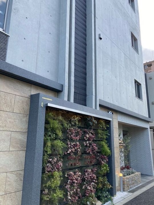 ESPERANZA SHINOZAKIのその他画像