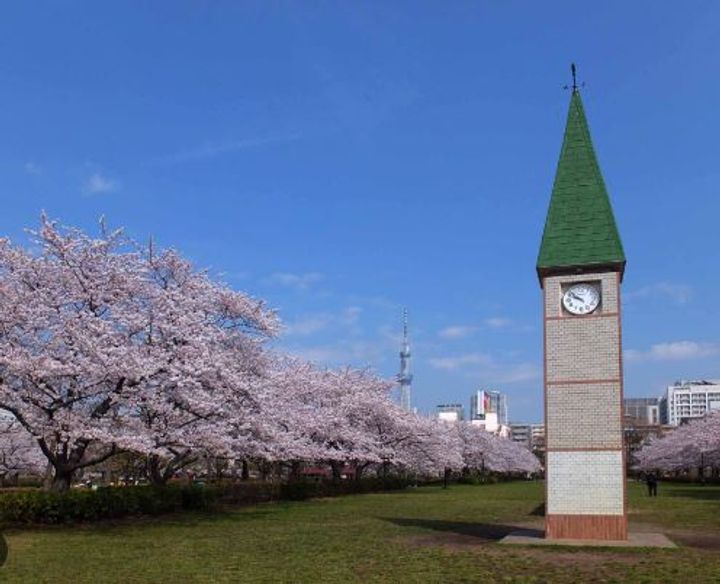 PARK LILA住吉の周辺
